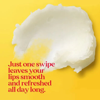 Burt's Bees Lip Balm, Lip Moisturizer